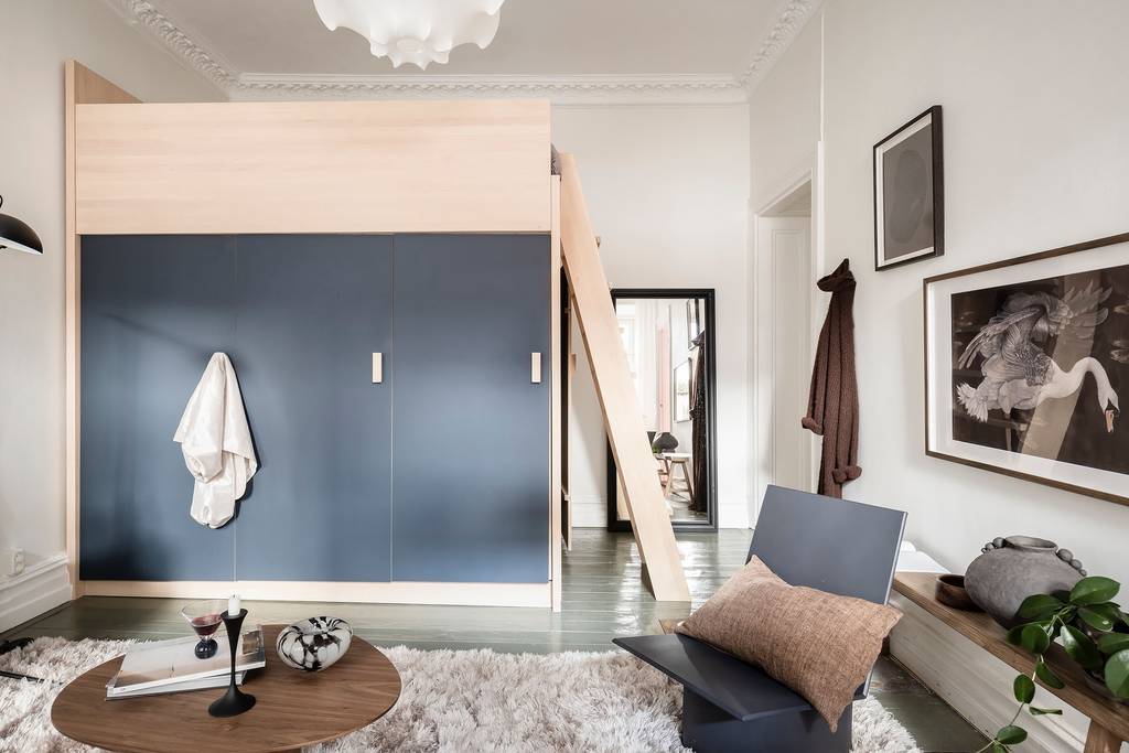 salon studio 35m2 décoration naturelle et scandinave avec lit mezzanine