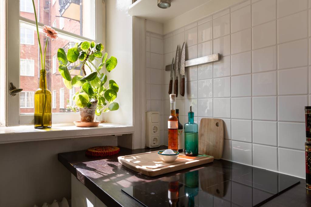 petite cuisine dans petit appartement