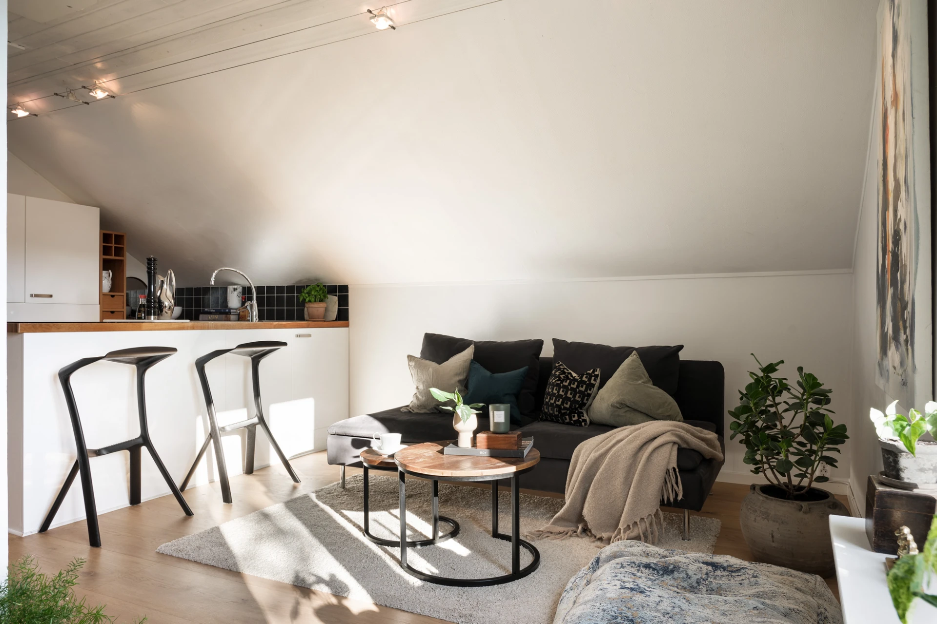 studio 24m2 décoration scandinave et moderne studio 24m2 décoration scandinave et moderne