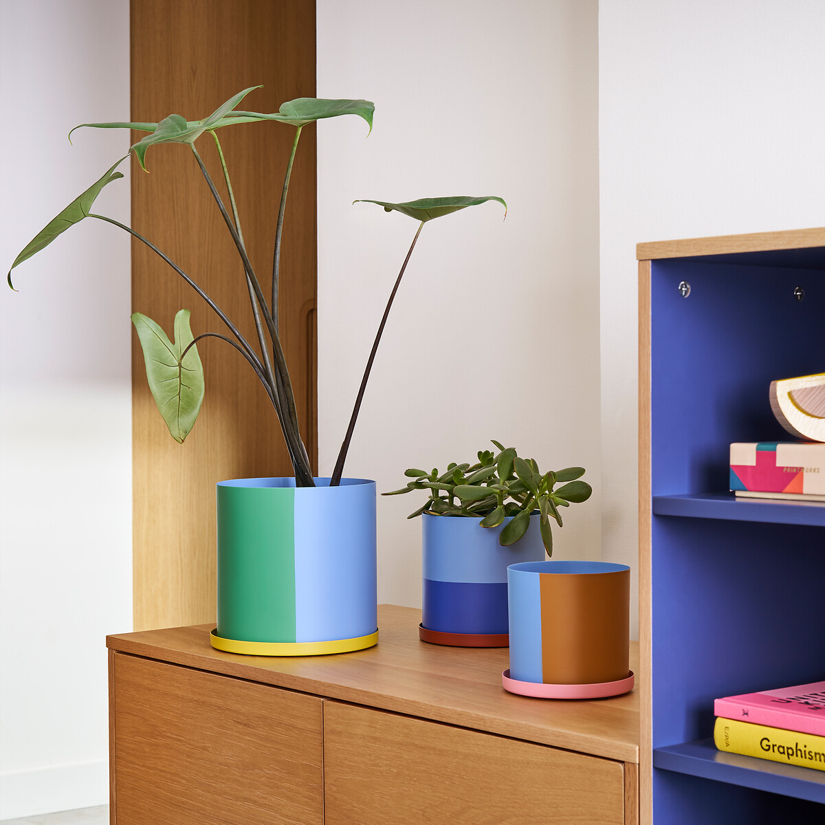 cache pot multicolore