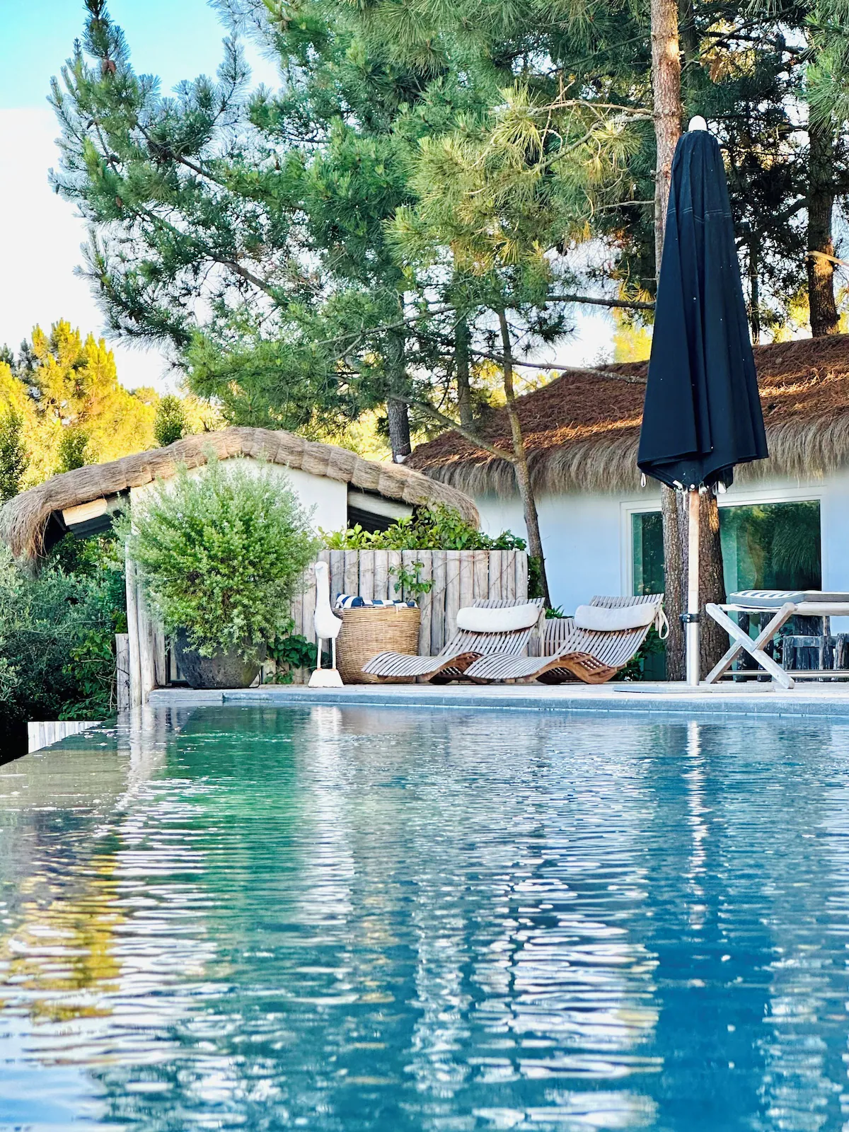 jardin avec terrasse et piscine jardin avec terrasse et piscine
