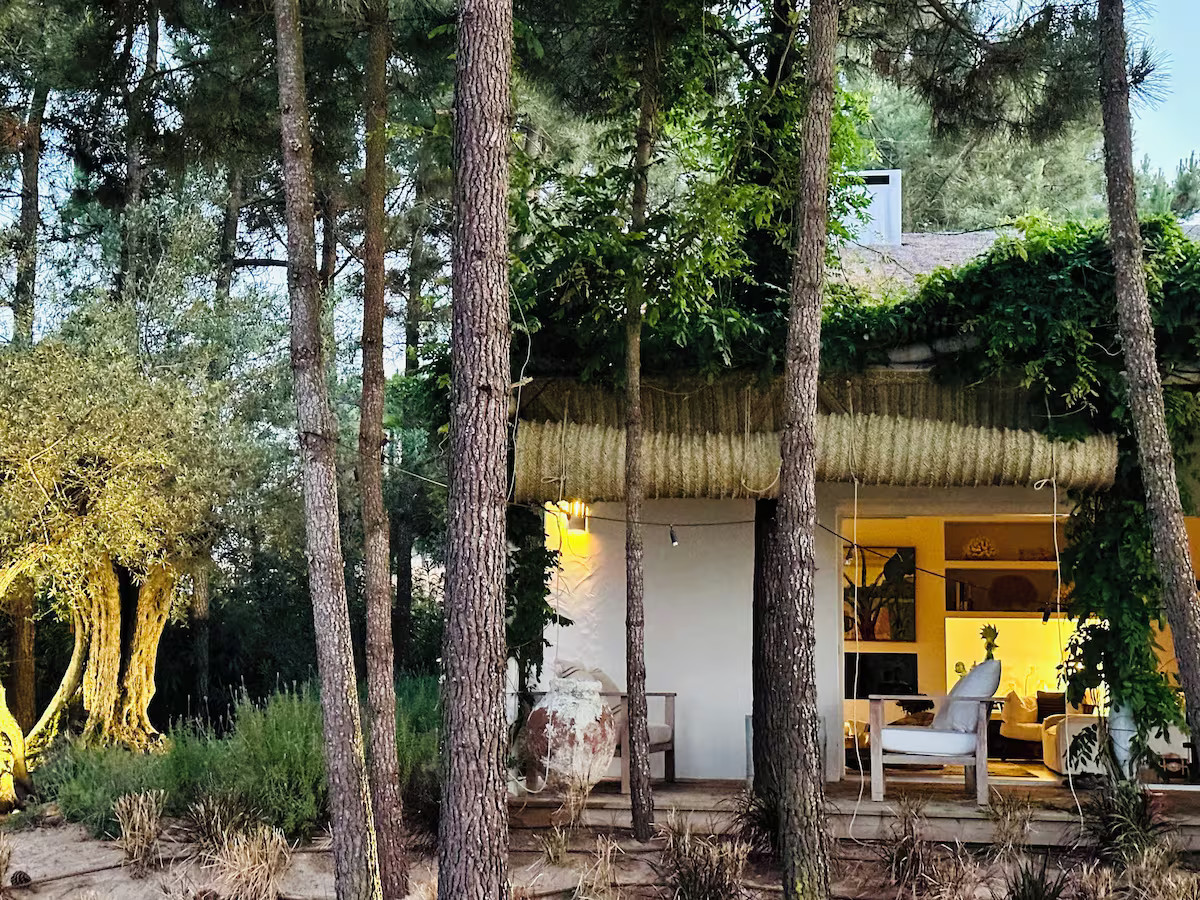 jardin avec terrasse et pins jardin avec terrasse et pins