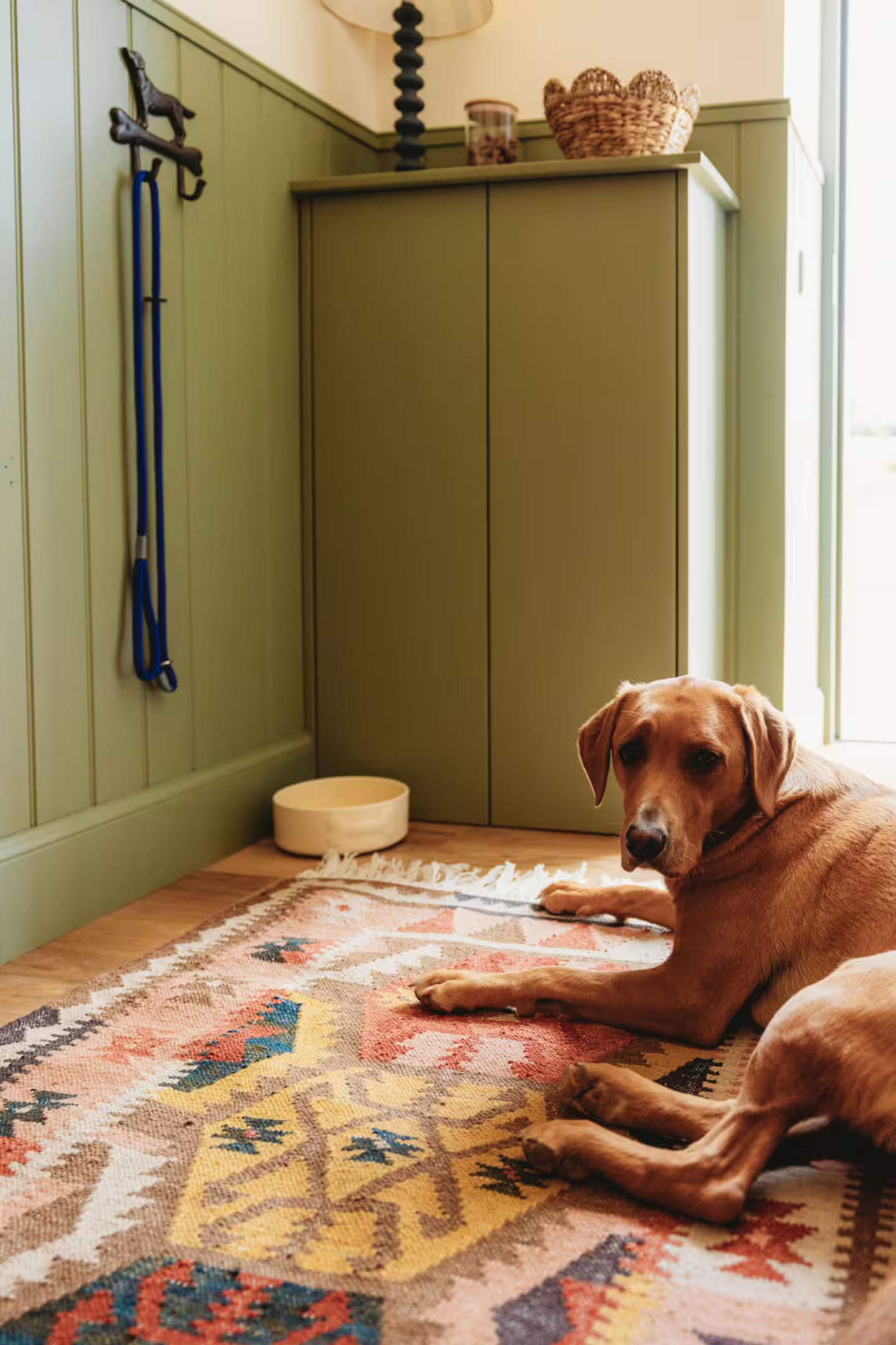 entrée avec chien murs verts et blancs tapis kilim maison Écosse décoration colorée entrée avec chien murs verts et blancs tapis kilim maison Écosse décoration colorée