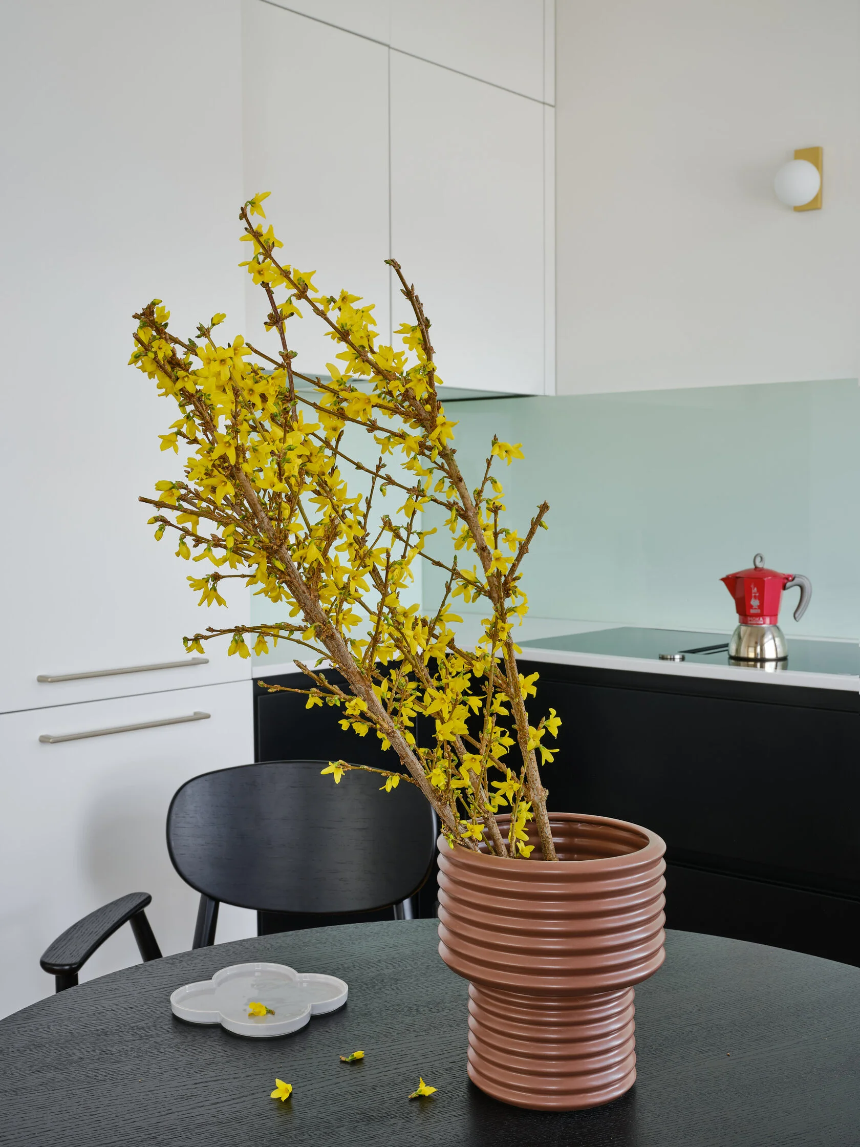 cuisine décoration contemporaine petit trois-pièces de 55m2 cuisine décoration contemporaine petit trois-pièces de 55m2