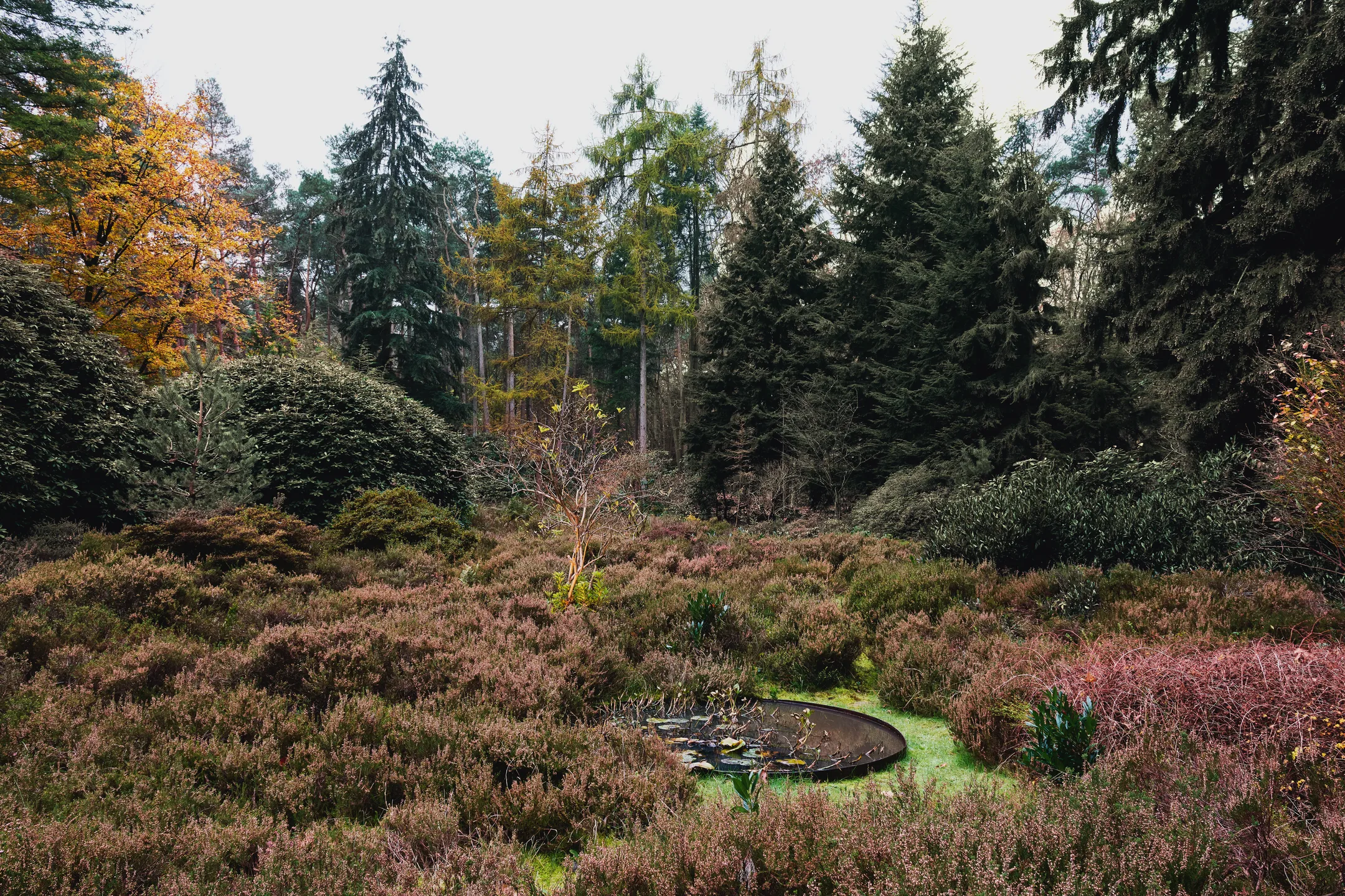 jardin paysagé jardin paysagé