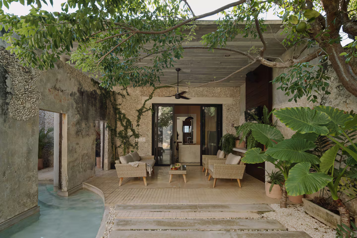 terrasse et jardin avec piscine maison rénovée Merida Casa Aurea (anciennement Casa Xólotl) terrasse et jardin avec piscine maison rénovée Merida Casa Aurea (anciennement Casa Xólotl)