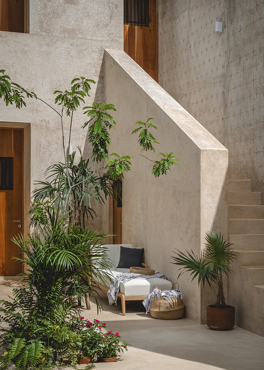 jardin maison Yucatan Merida rénovée jardin maison Yucatan Merida rénovée