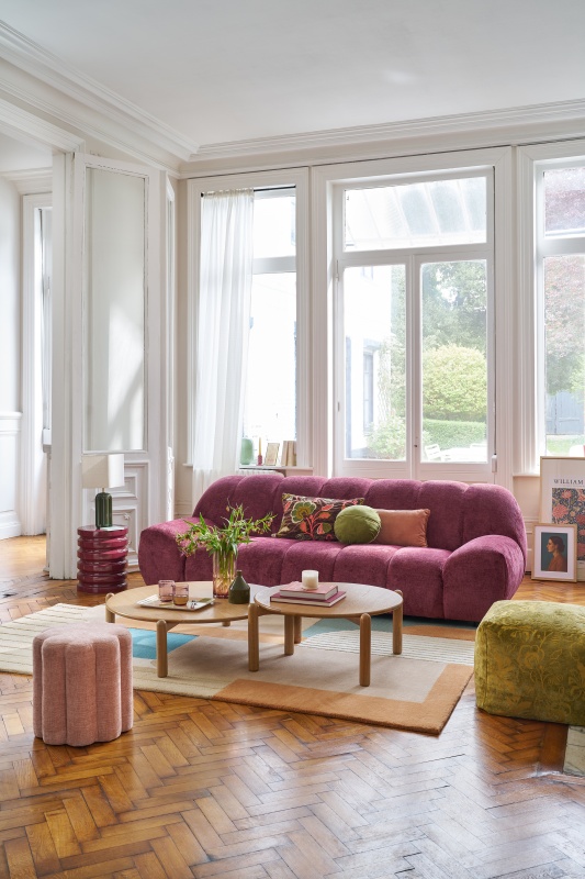 salon appartement haussmannien