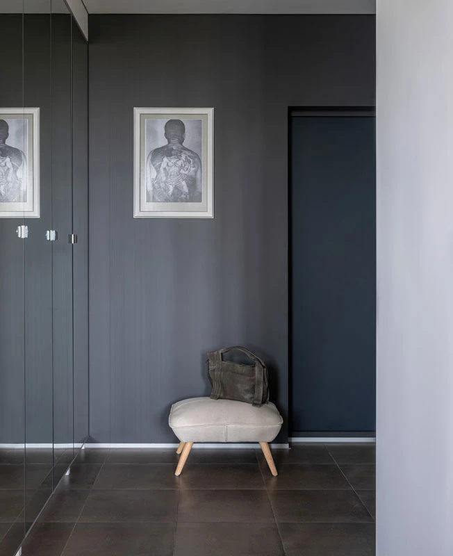 entrée murs gris avec placard miroir entrée murs gris avec placard miroir