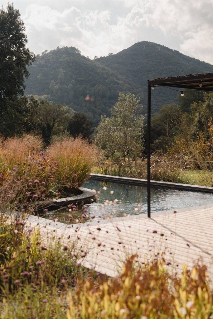 piscine avec pergola entourée de verdure