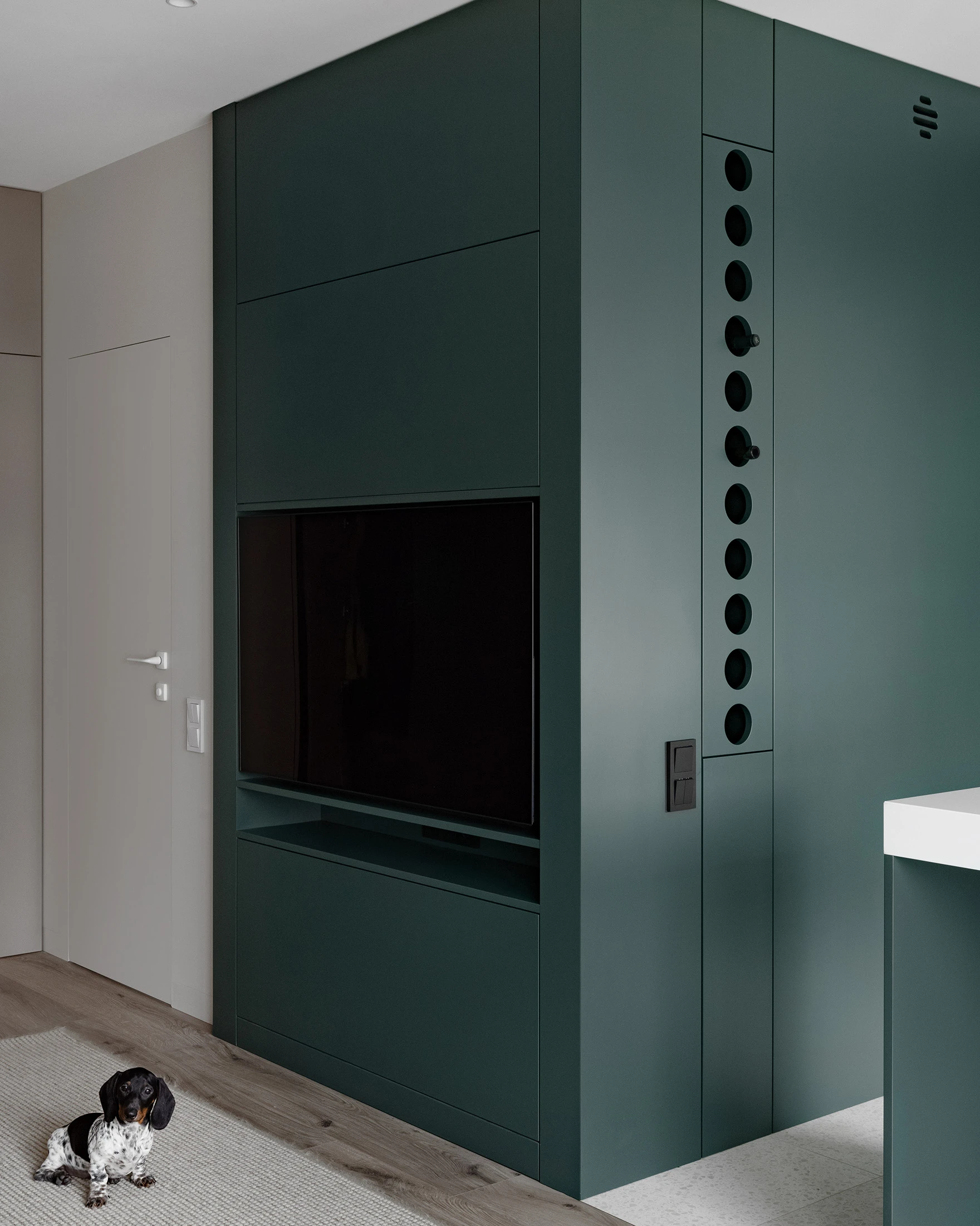cuisine ouverte deux-pièces design 59m2 décoration verte et blanche cuisine ouverte deux-pièces design 59m2 décoration verte et blanche