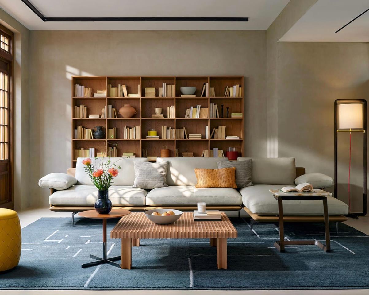 salon avec bibliothèque décoration contemporaine