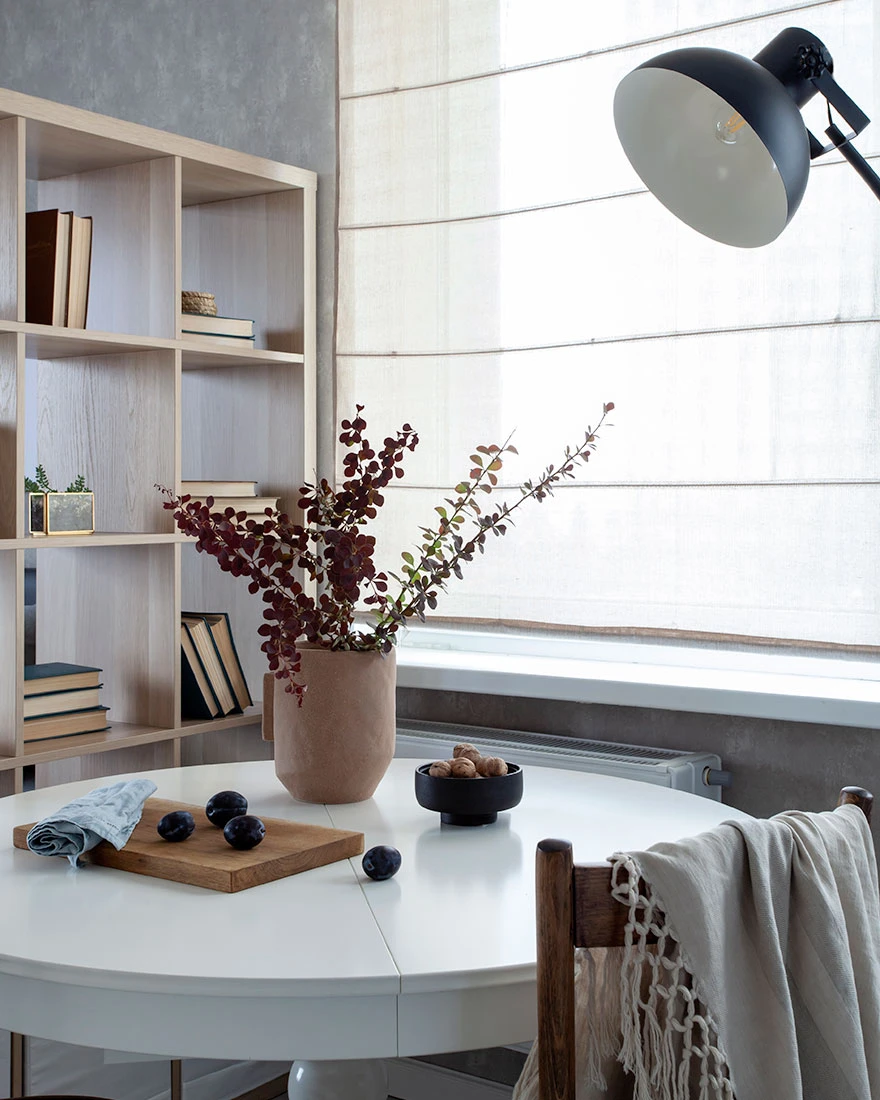 pièce principale studio 29m2 avec séparation IKEA KALLAX