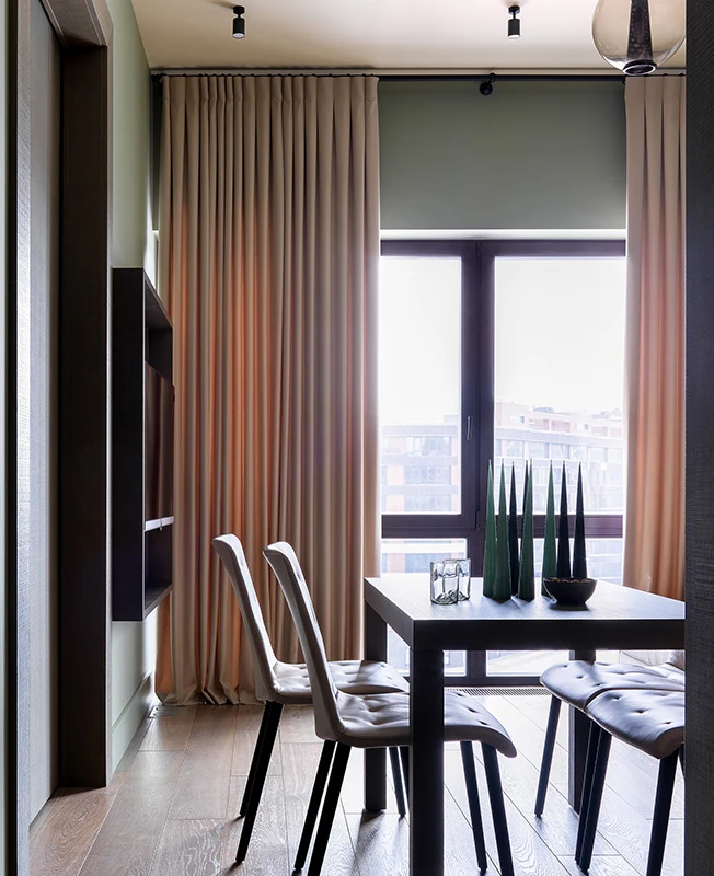 salle à manger et salon décoration contemporaine appartement 50m2