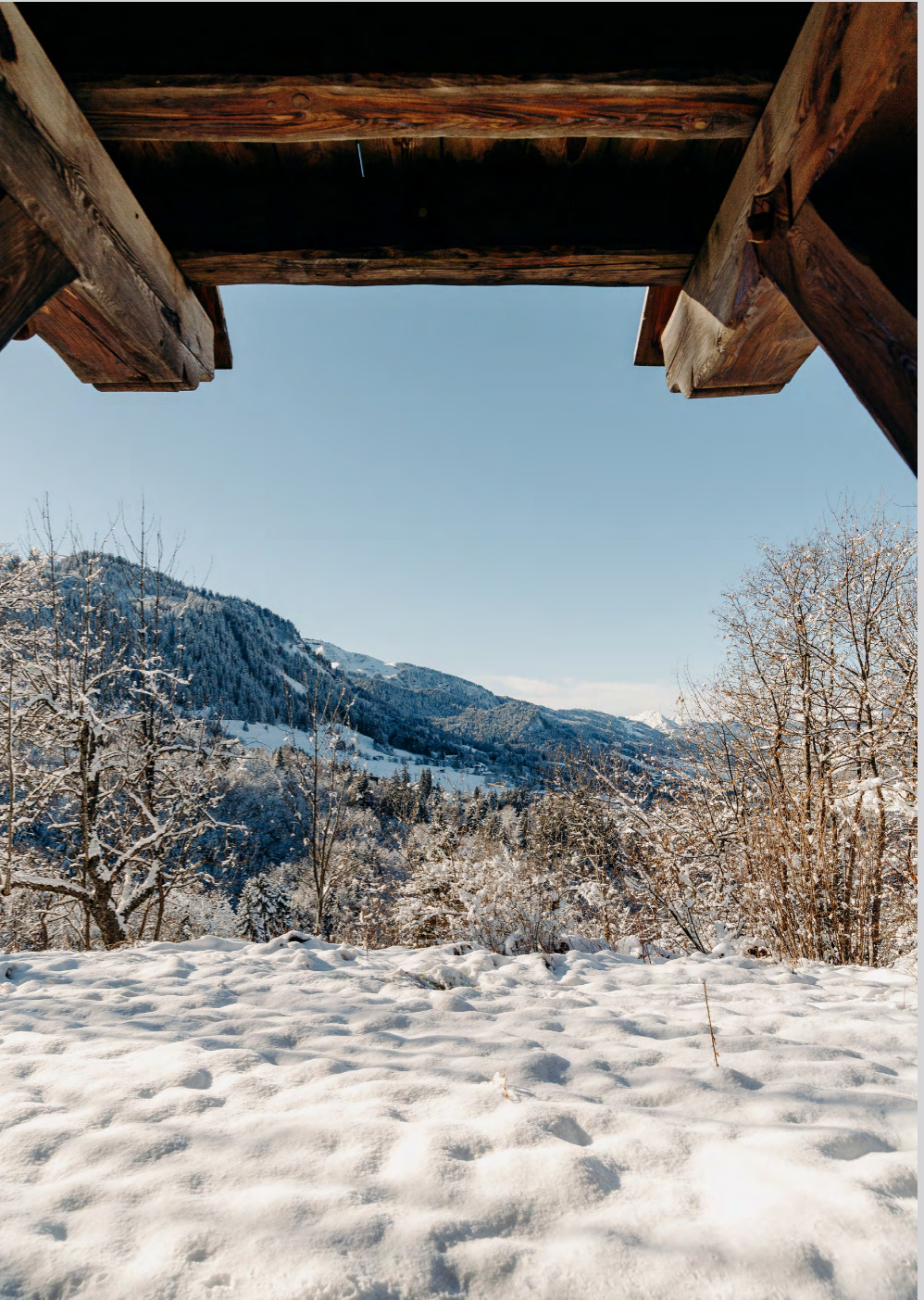 paysage montagne Alpes