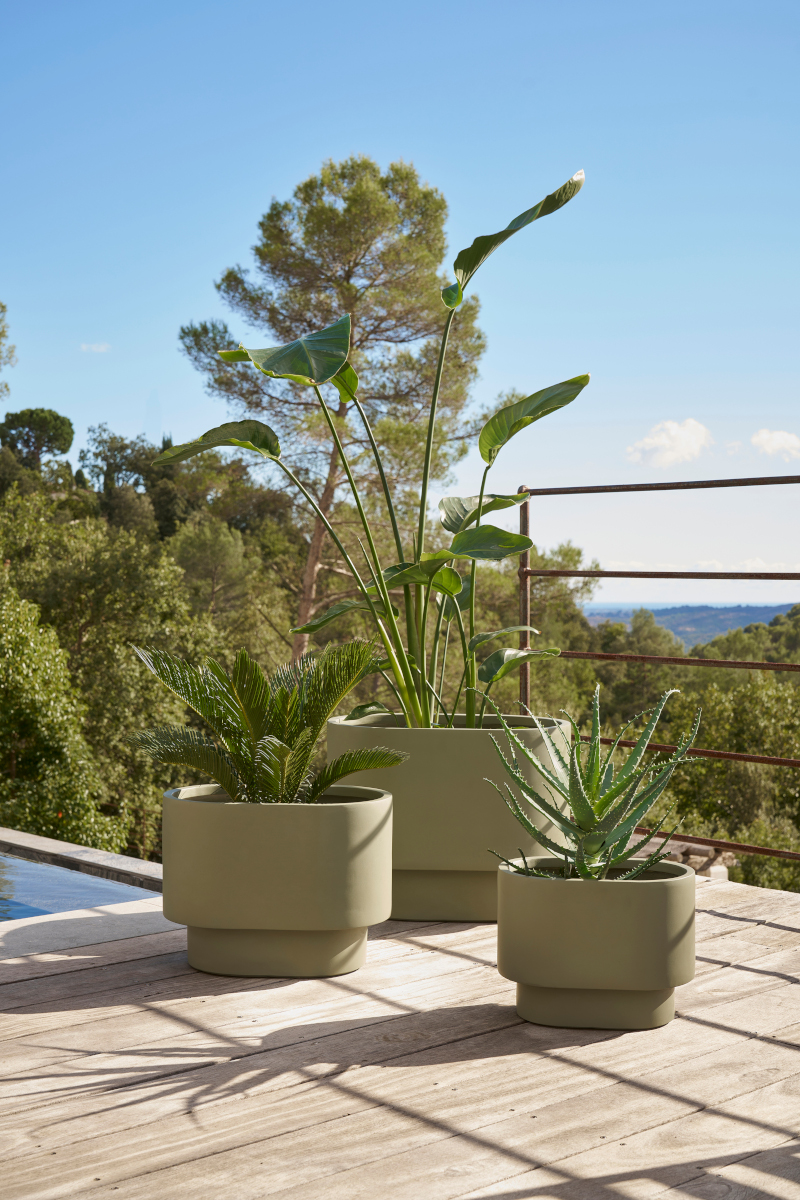 plantes en pot bord de piscine