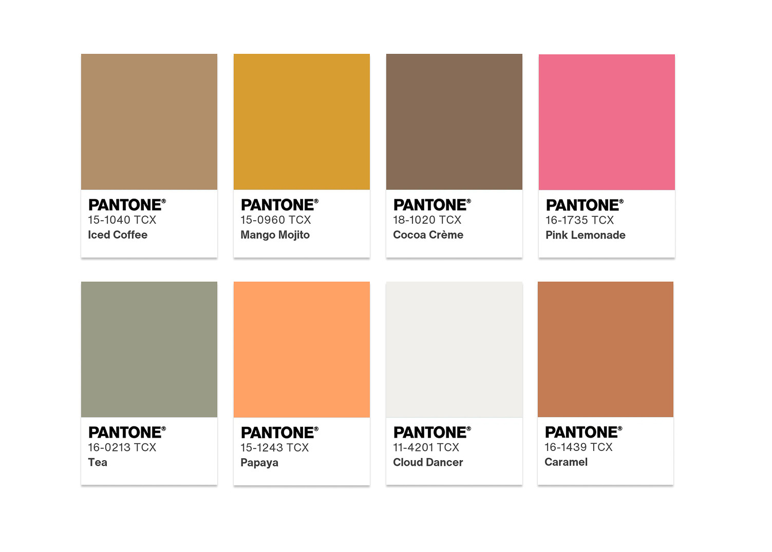 palette couleur Pantone® 2026 Cloud Dancer palette couleur Pantone® 2026 Cloud Dancer