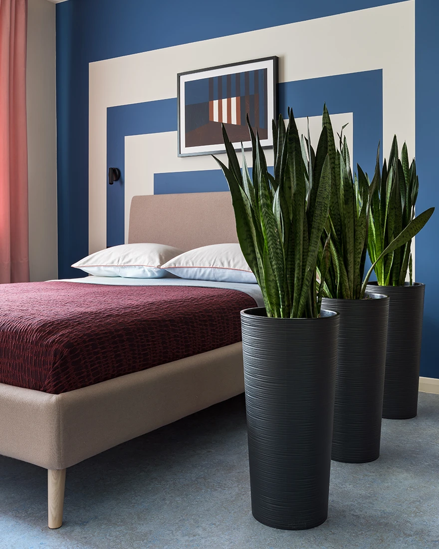 chambre appartement 36m2 color block