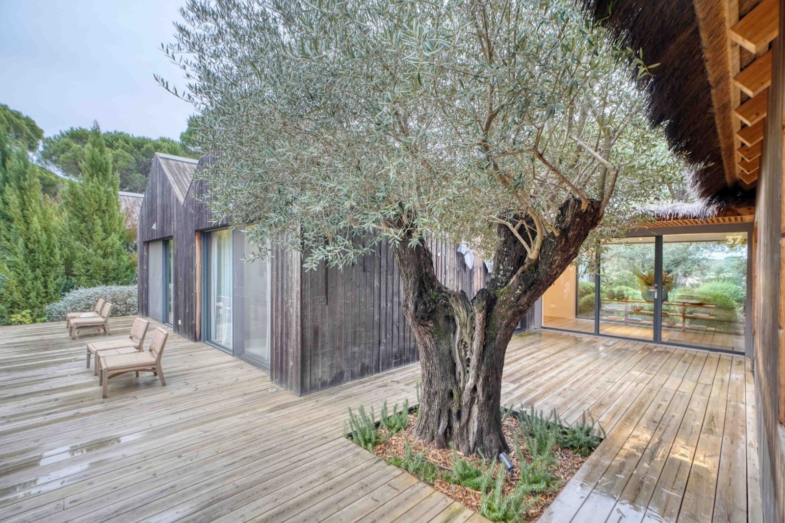 terrasse maison contemporaine avec piscine Comporta