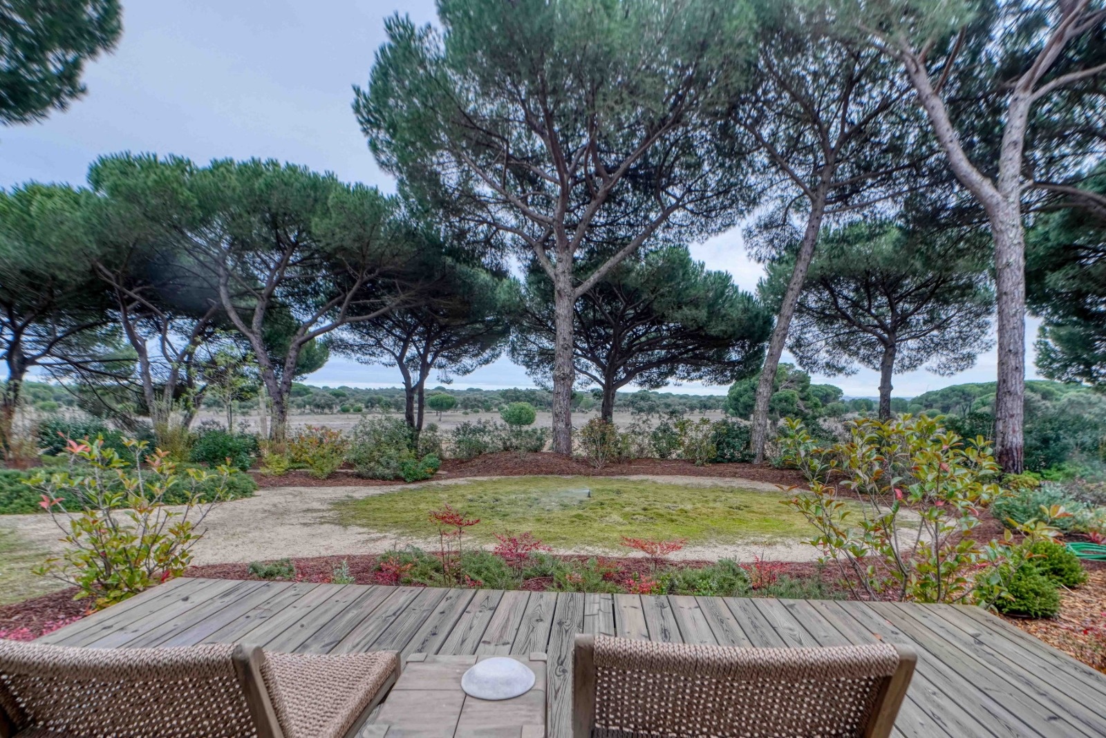 terrasse vue pins maison contemporaine avec piscine Comporta