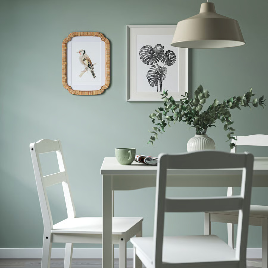 salle à manger murs verts