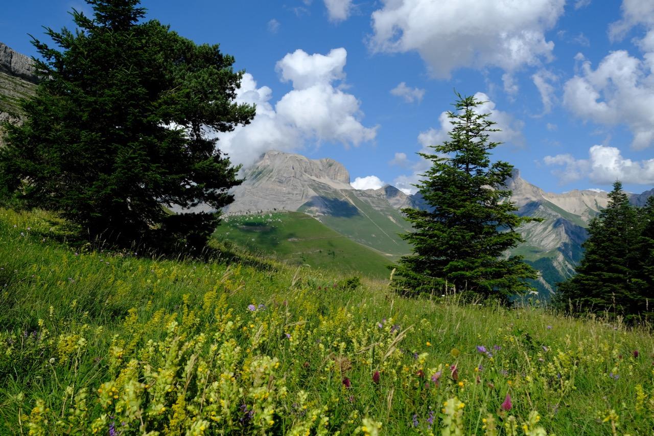 paysage Vercors