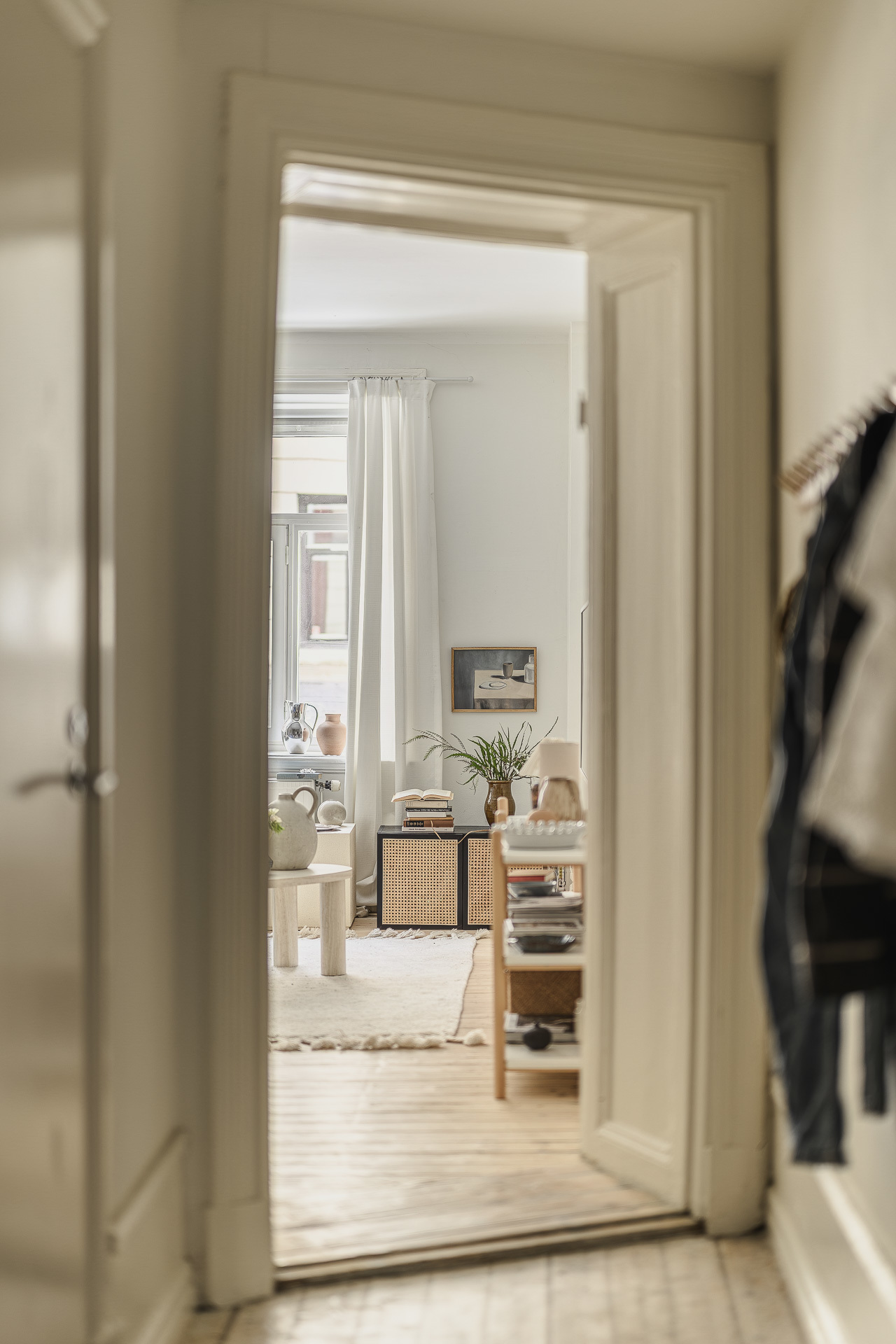 entrée et salon deux-pièces 52m2 décoration scandinave