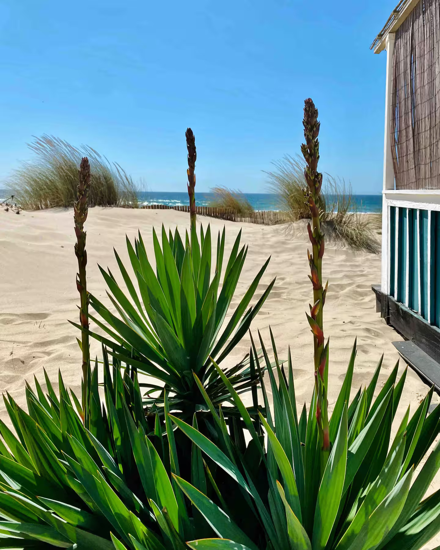 ancienne maison de pêcheur rénovée sur la plage Portugal Cabana Zojora