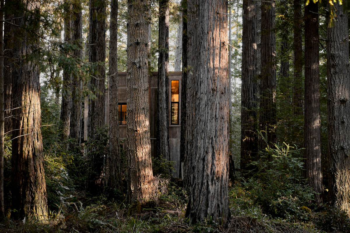 maison en bois Mini-Mod n°3 à Sea Ranch maison en bois Mini-Mod n°3 à Sea Ranch