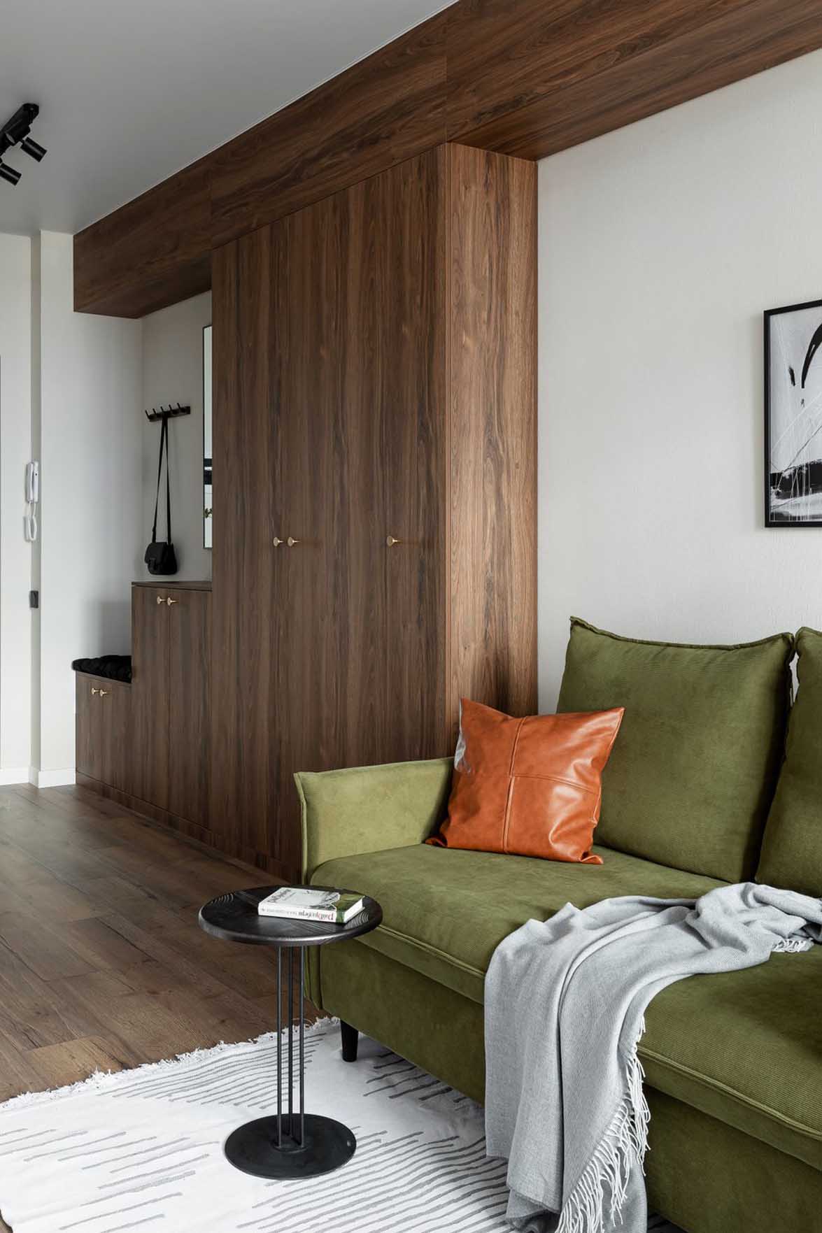 salon et rangement entrée en noyer décoration contemporaine studio de 31m2 optimisé