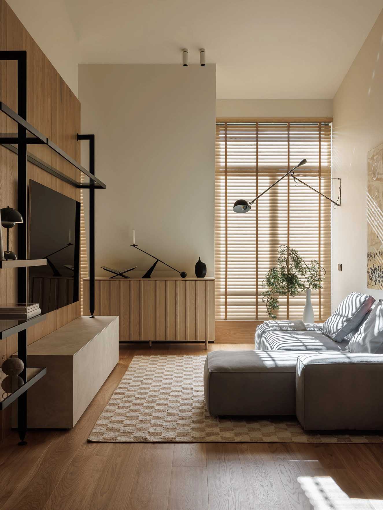 salon appartement deux-pièces 52m2 sous les toits décoration contemporaine