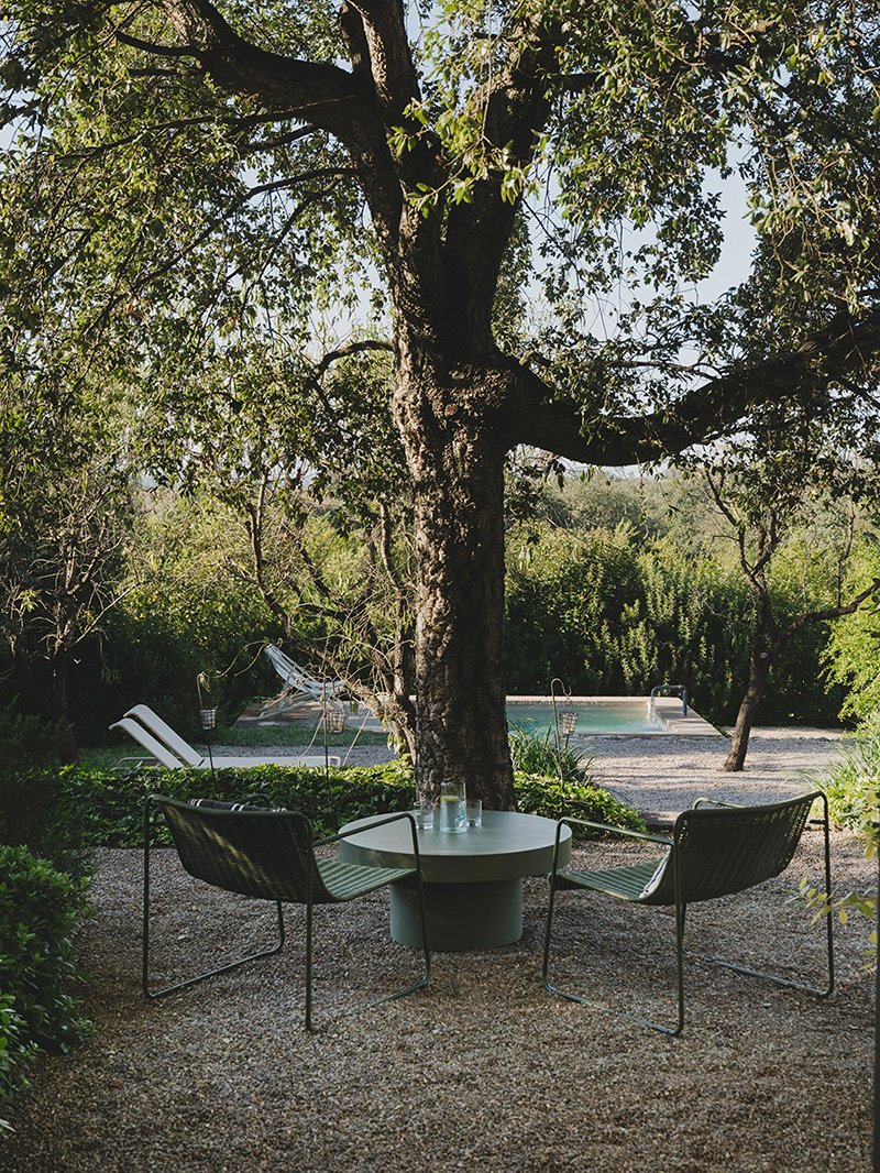 jardin avec piscine jardin avec piscine