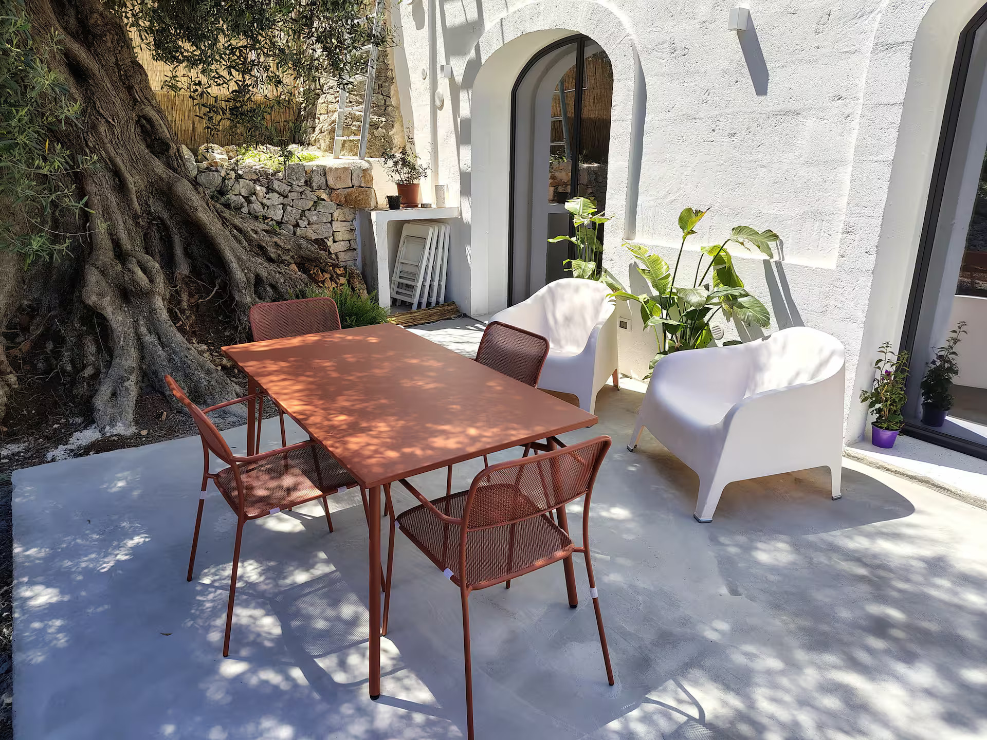terrasse avec olivier centenaire maison Pouilles Casa Lama Monopoli terrasse avec olivier centenaire maison Pouilles Casa Lama Monopoli