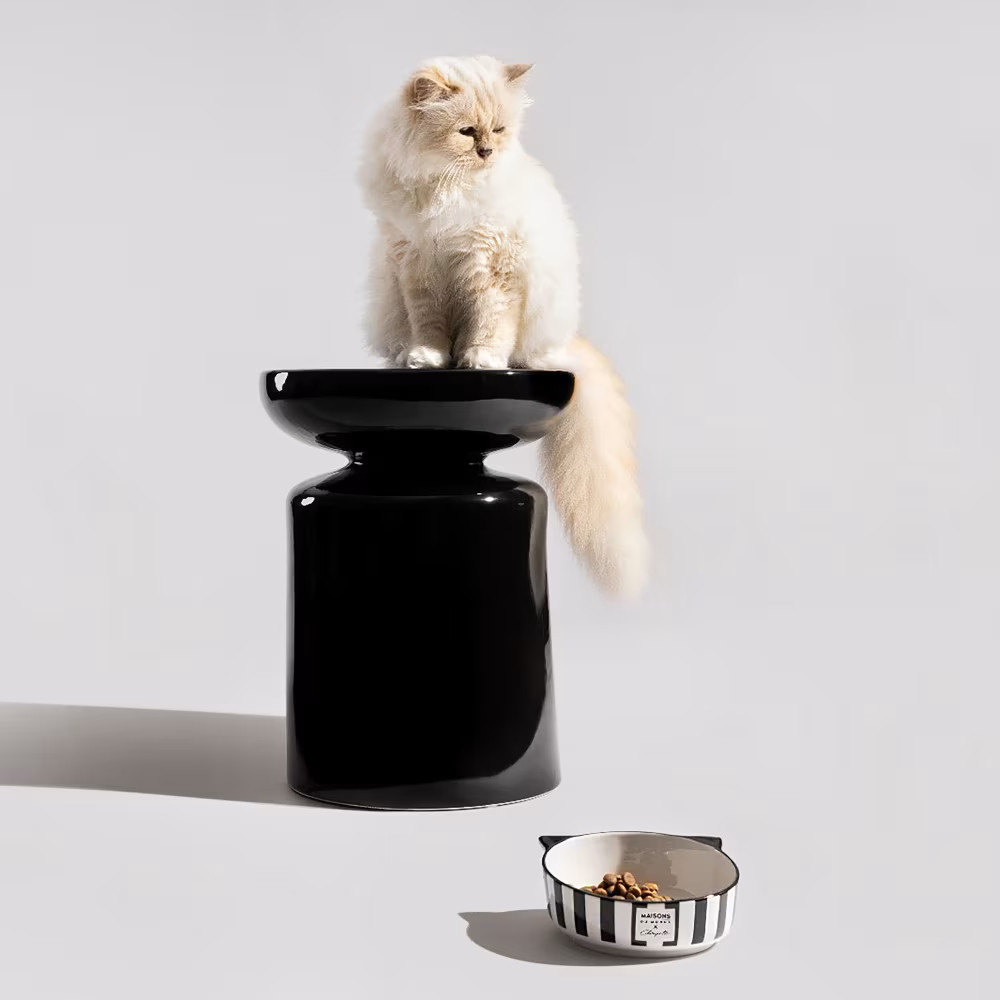 collaboration Choupette X Maisons du Monde catalogue 2026