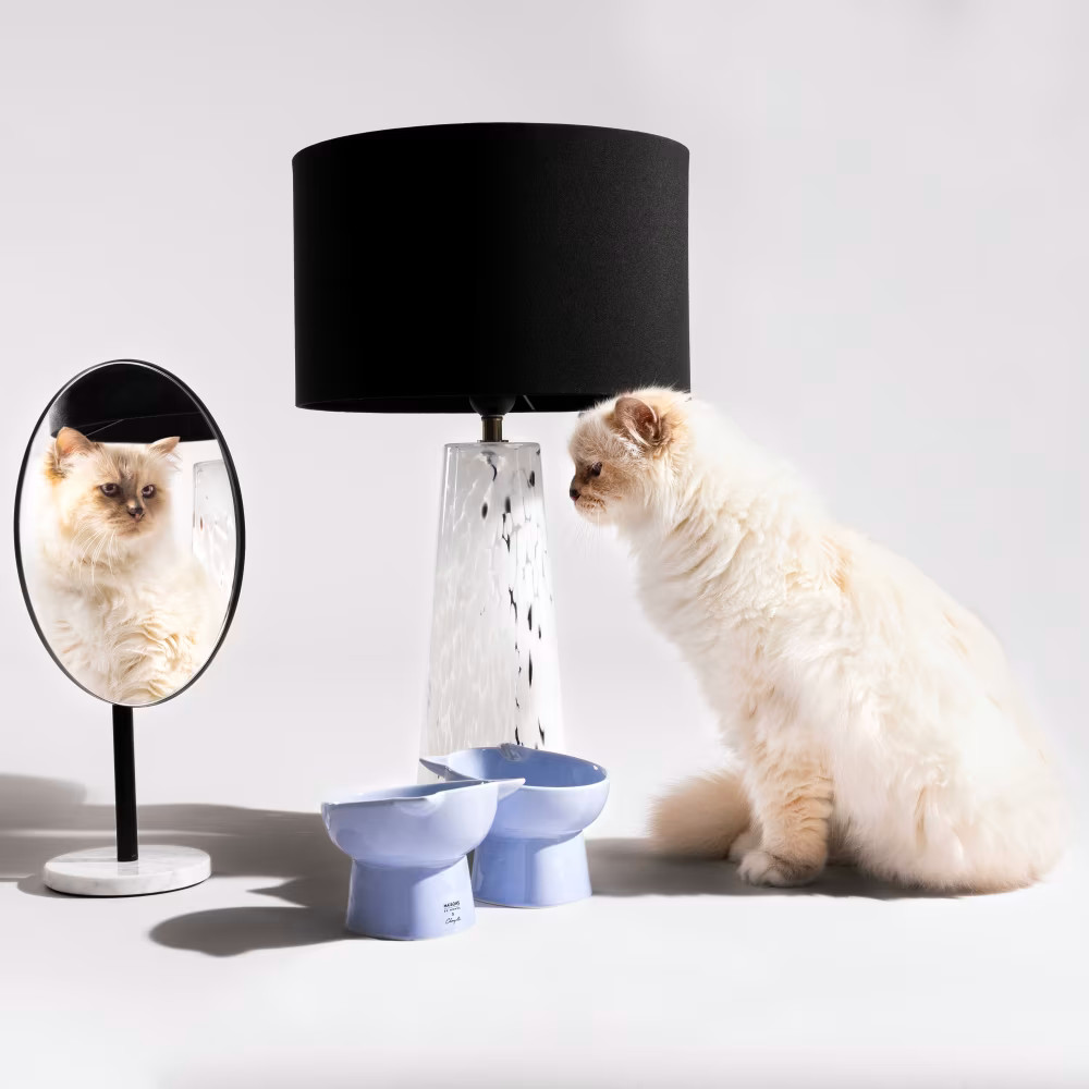 collaboration Choupette X Maisons du Monde catalogue 2026