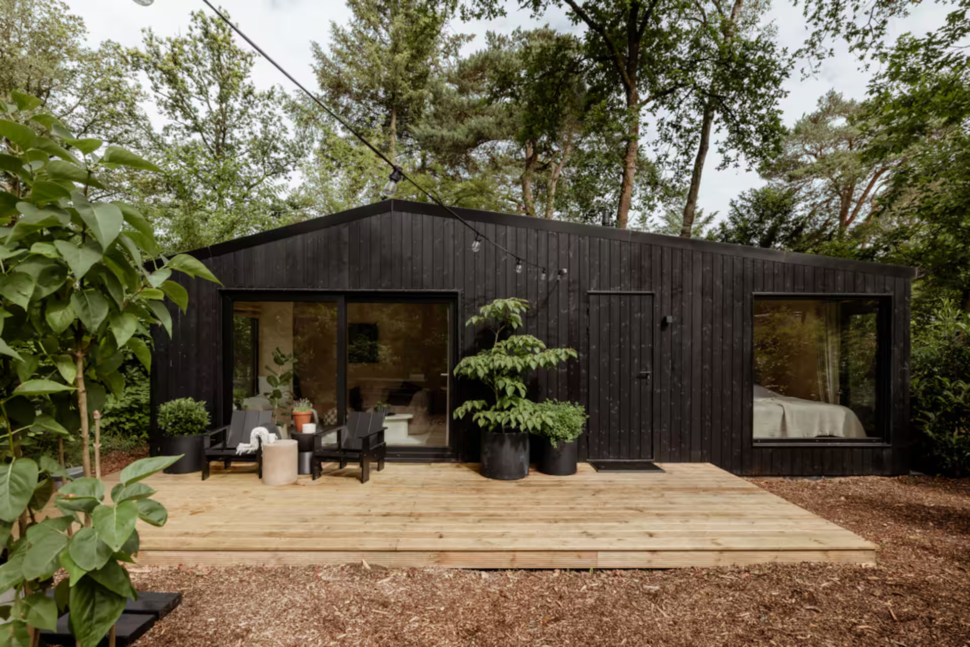 Une petite maison dans la nature aux Pays-Bas au design apaisant