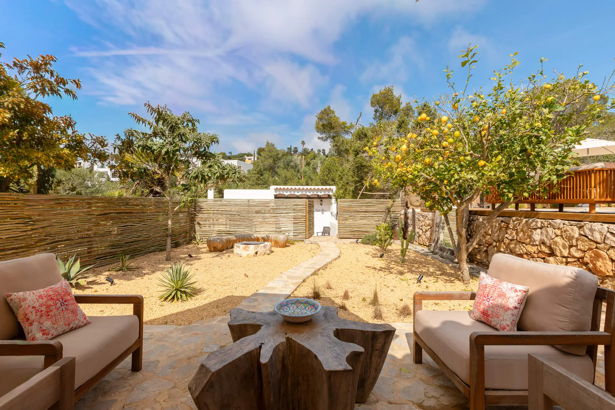 jardin sec avec citronnier