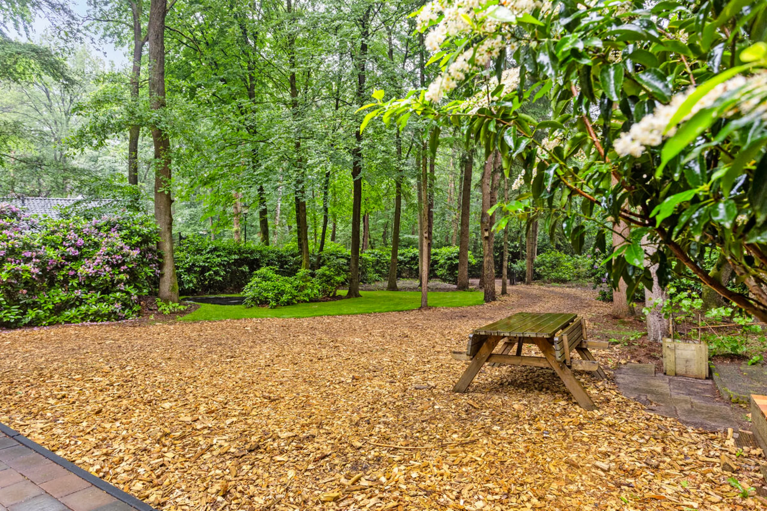 garden and forest garden and forest