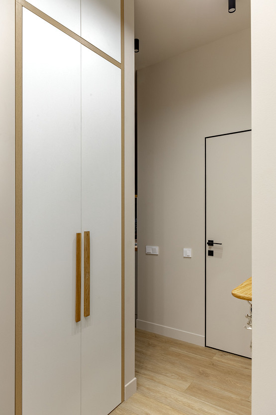 entryway with cupboards 37sqm student apartment contemporary decor