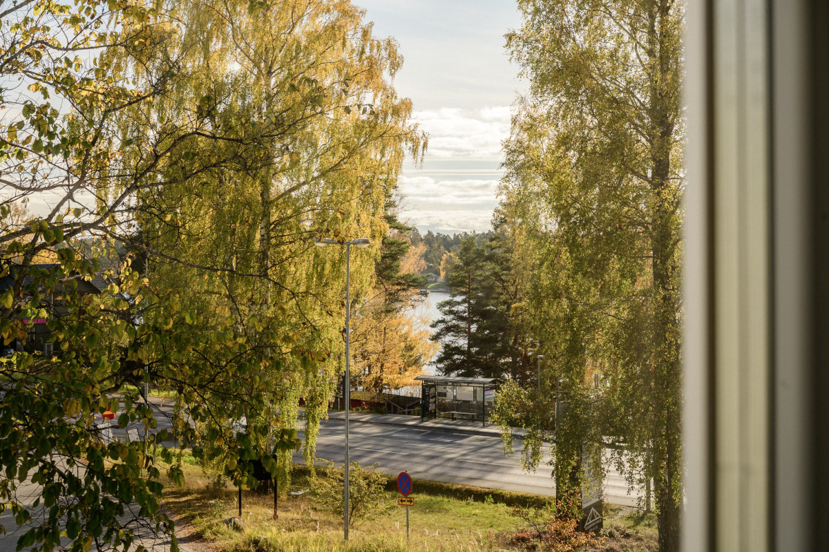 nature in Sweden