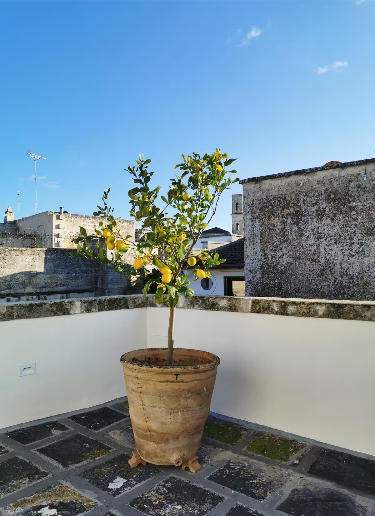 terrasse sur le toit terrasse sur le toit