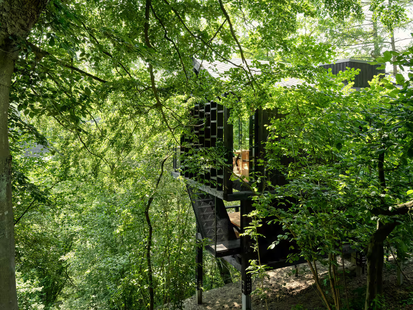 cabane en bois contemporaine dans la forêt des Ardennes Eagle par Hutstuf cabane en bois contemporaine dans la forêt des Ardennes Eagle par Hutstuf