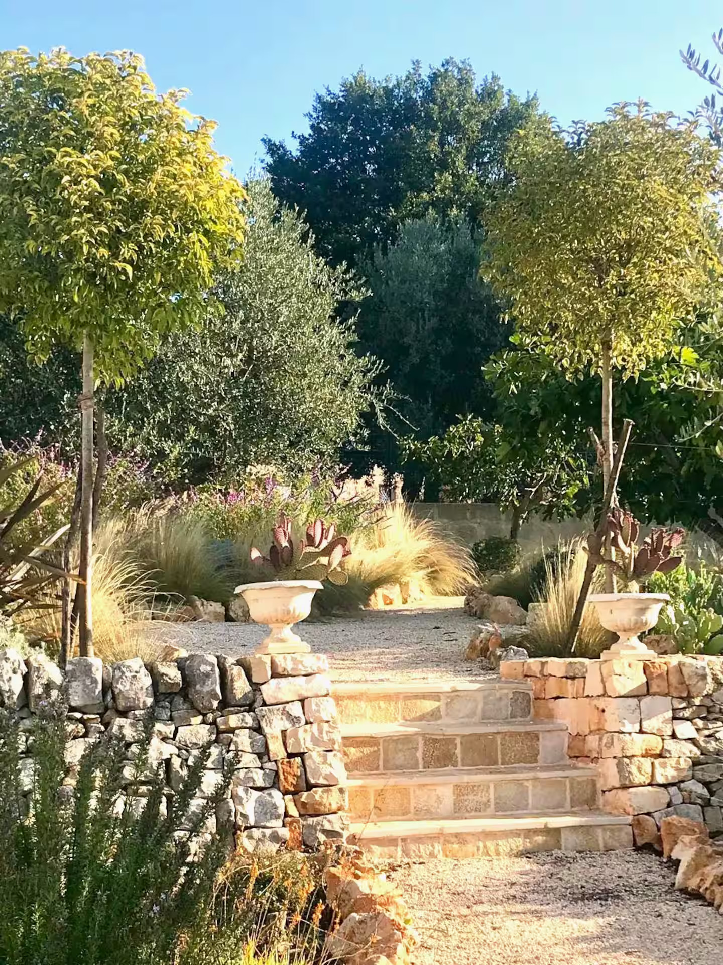 jardin trullo des Pouilles rénové Trullo Falco