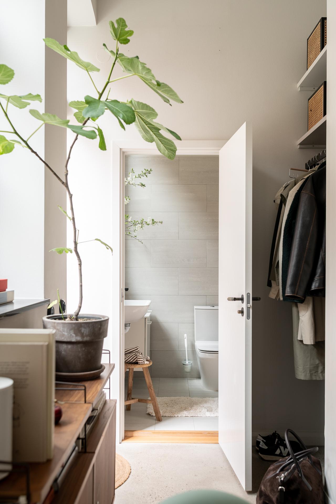 entrée et salle de bain entrée et salle de bain