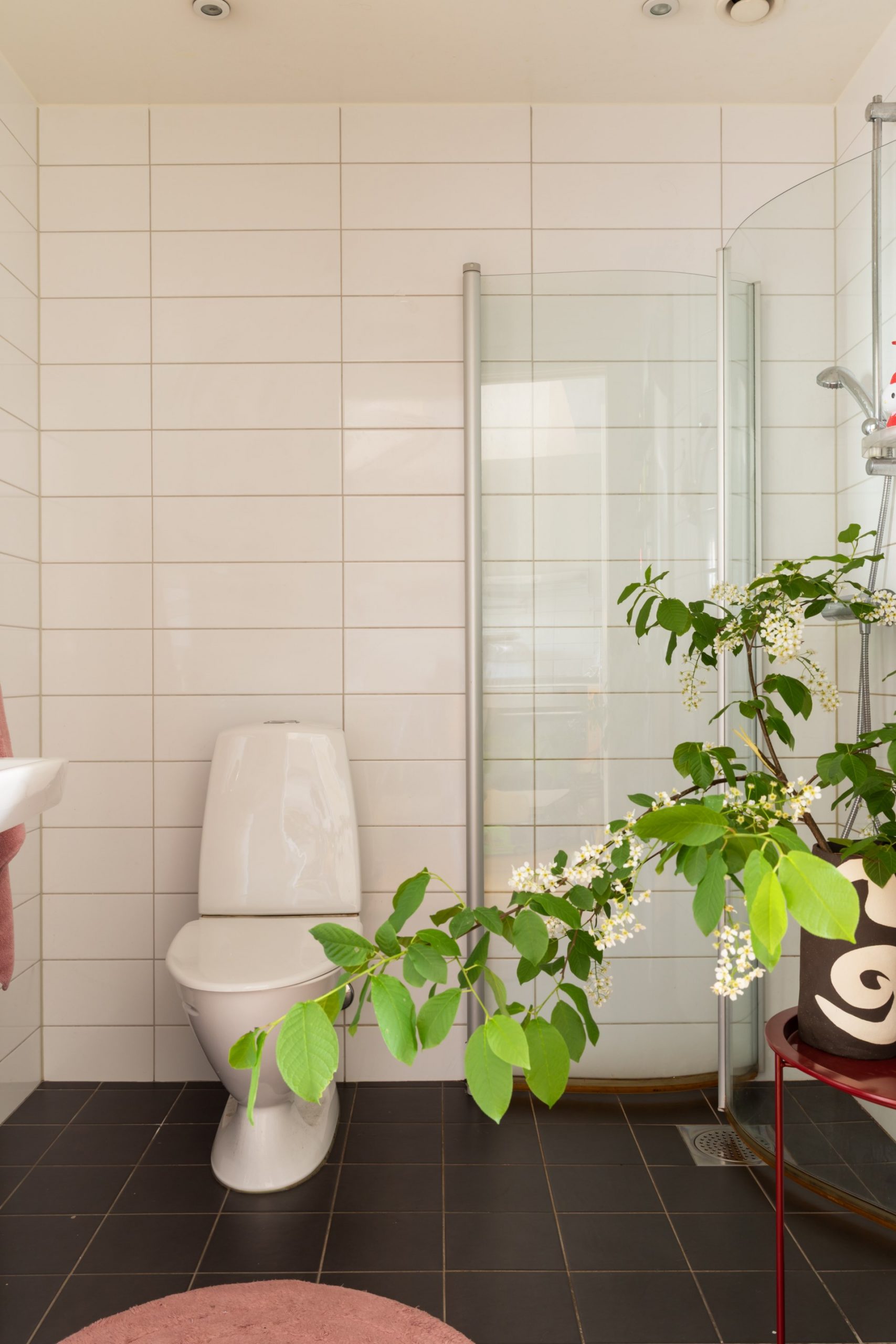 salle de bain blanche