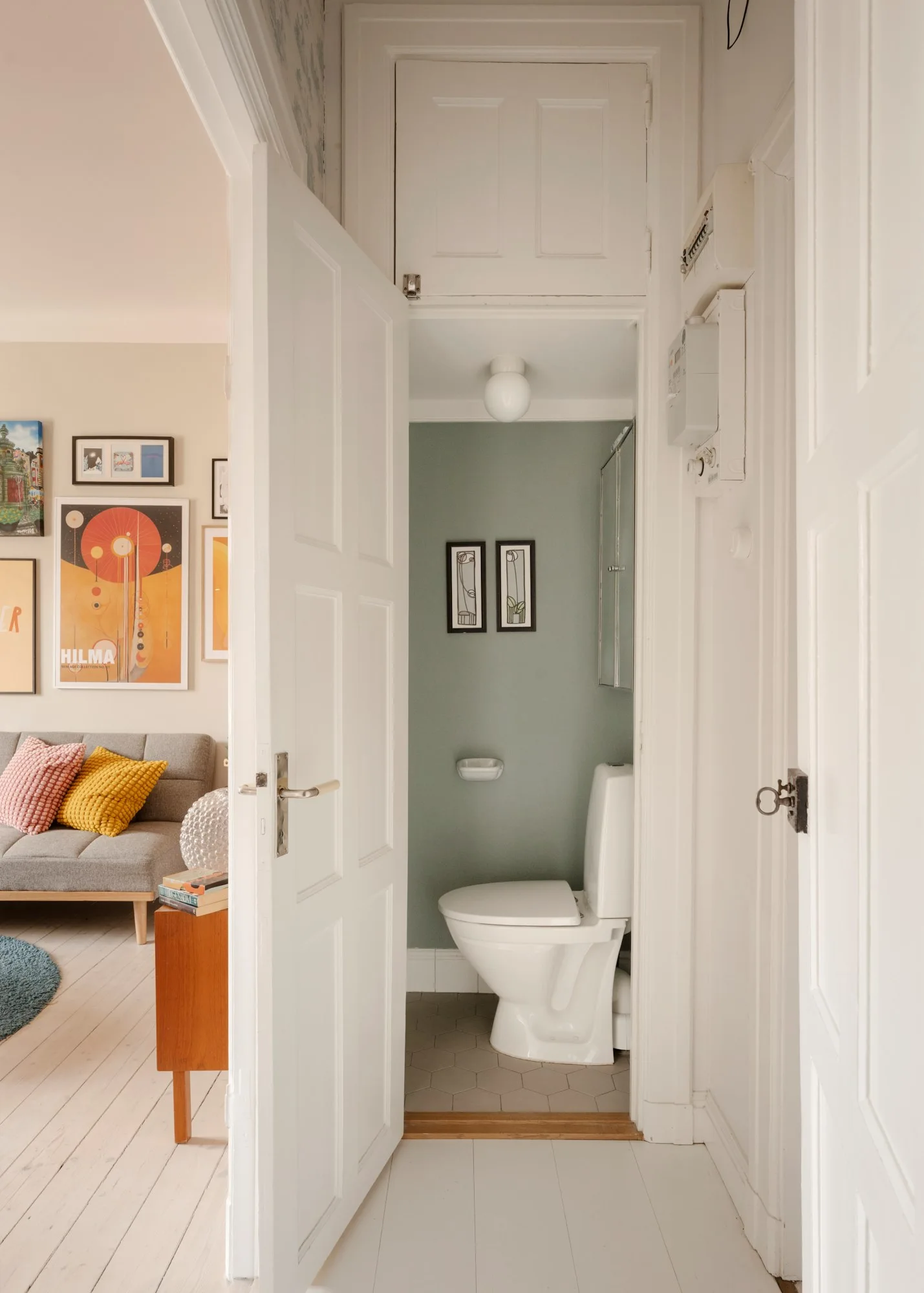 toilettes wc mur vert sauge