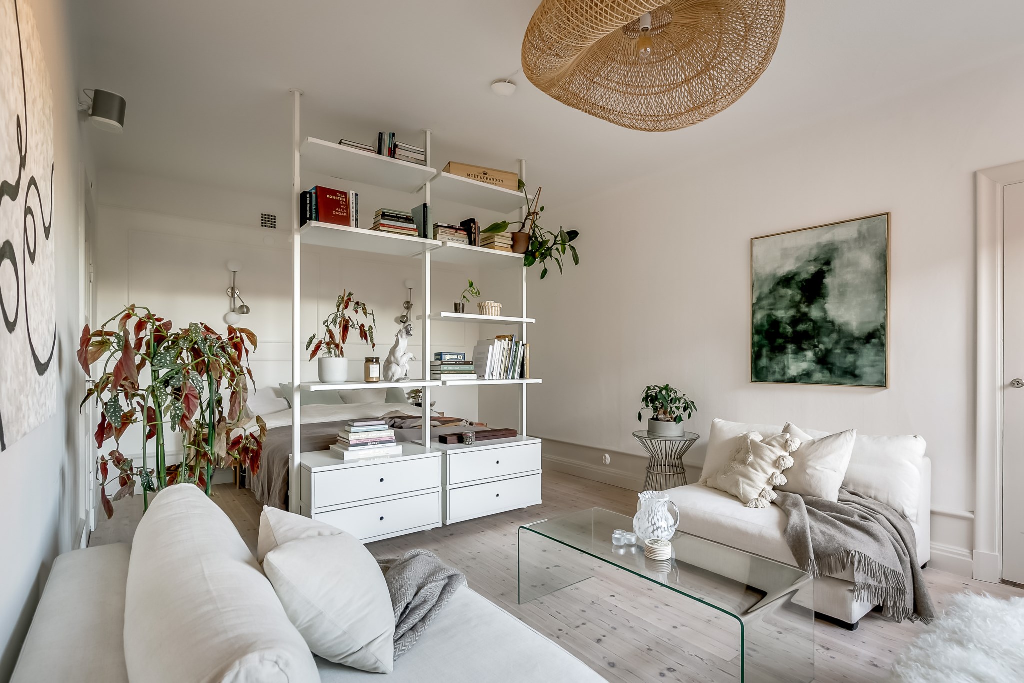 salon avec chambre séparée par dressing IKEA