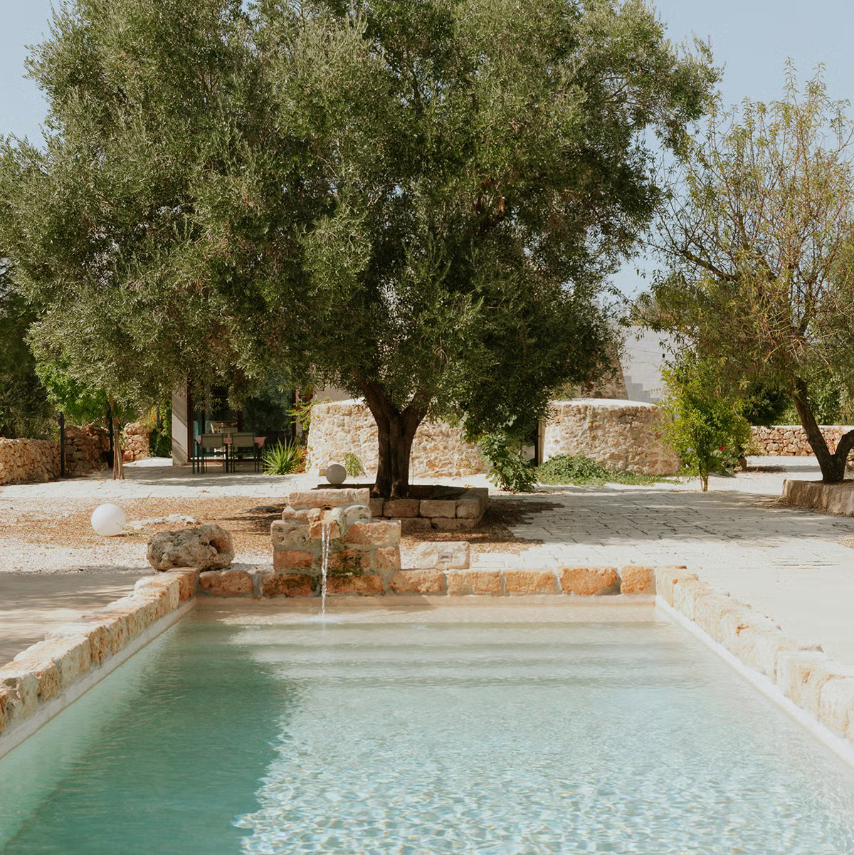 jardin avec olivier et piscine maison ancienne rénovée dans les Pouilles
