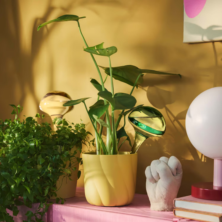 humidificateur IKEA pour plantes