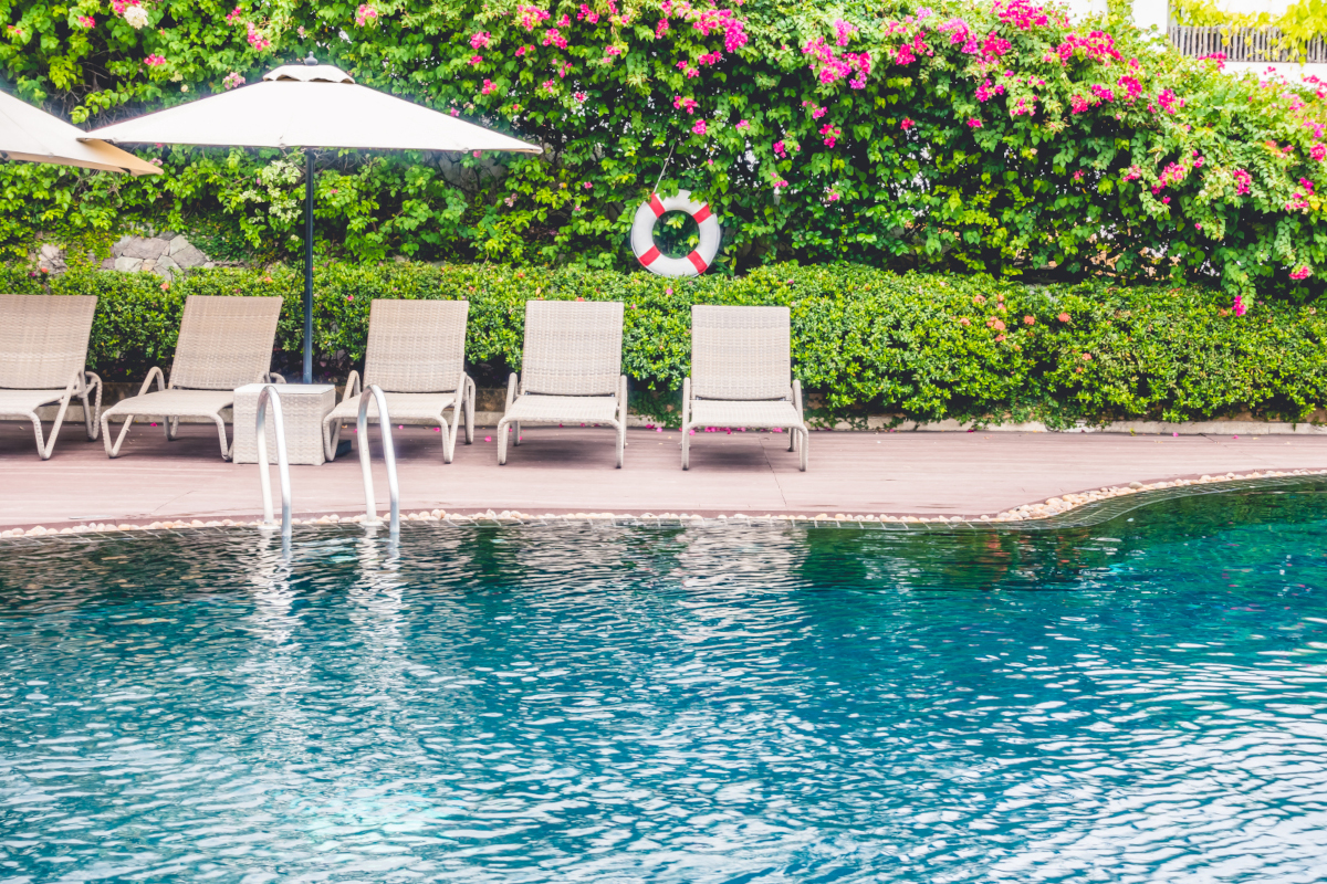jardin avec piscine haie libre